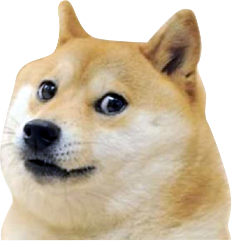 dogedog